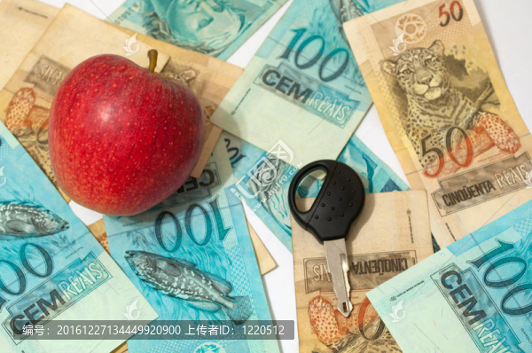 銷售蘋果的經(jīng)濟活動