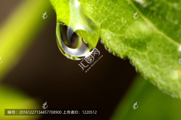 滴