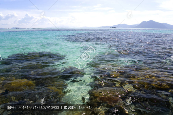 珊瑚礁和島嶼