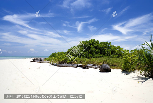 熱帶海灘