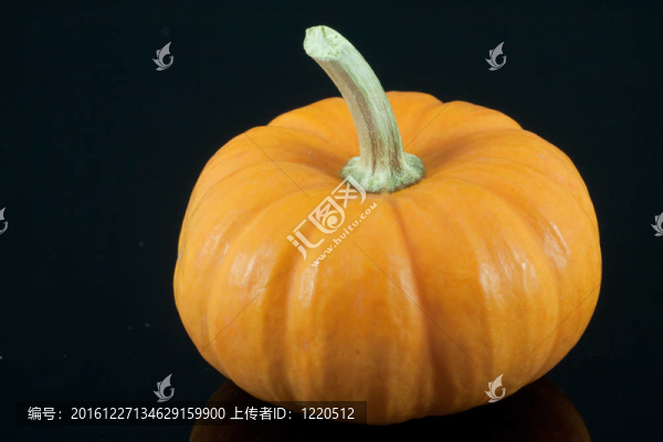 南瓜南瓜