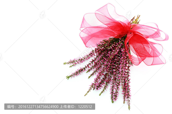 希瑟