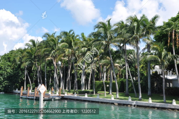 邁阿密之星與廣金島