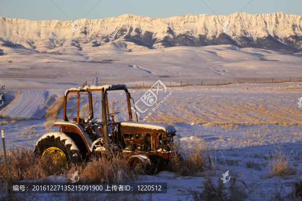 阿爾伯塔冰雪覆蓋的洛磯山脈在加拿大