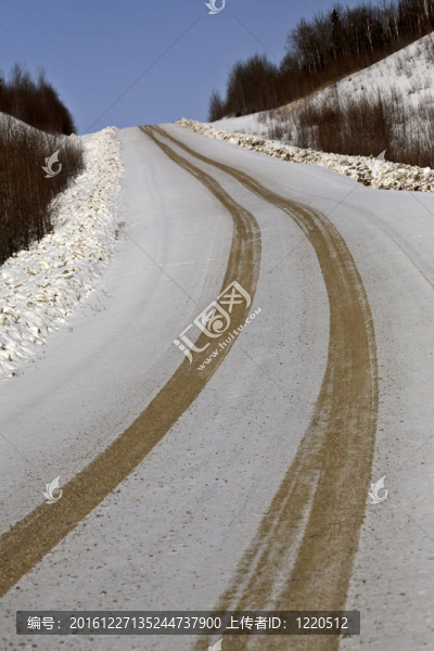 冬季伐木道路