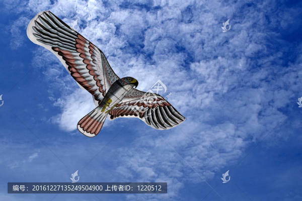 鷹風(fēng)箏