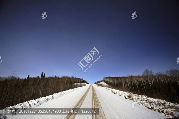 冬季伐木道路