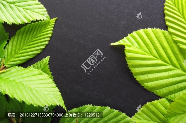 扇框
