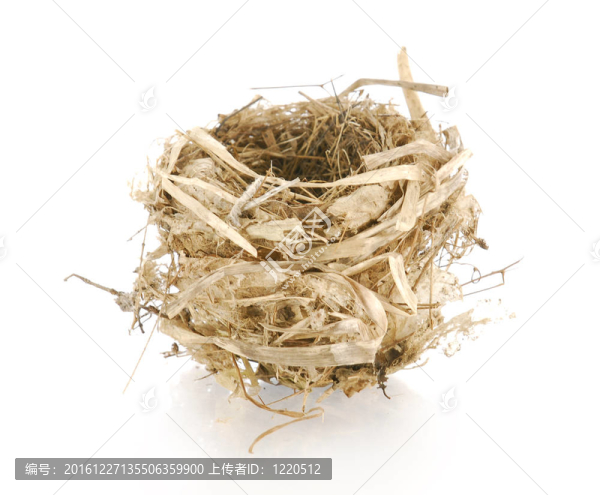 鳥巢