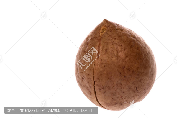 澳洲堅果