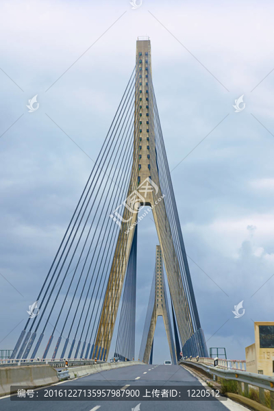 橋