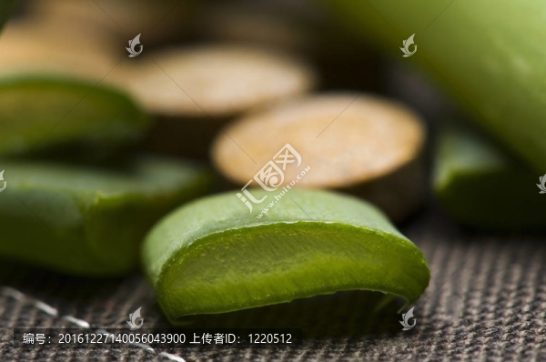 Aloe,vera,-草藥