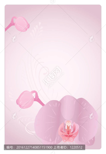 向量的蘭花。