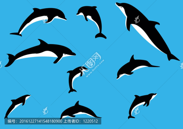 海豚