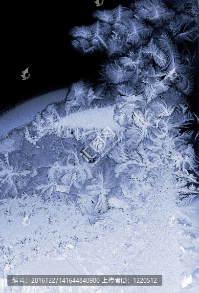 櫥窗玻璃上的Frost圖案