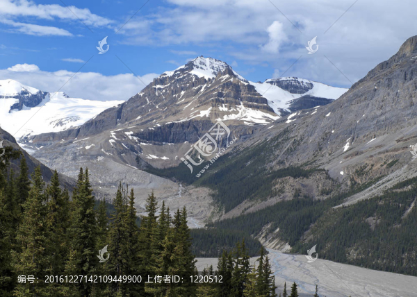冰川在加拿大落基山脈的壯觀景色