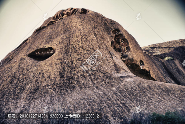 澳大利亞內(nèi)陸探險(xiǎn)