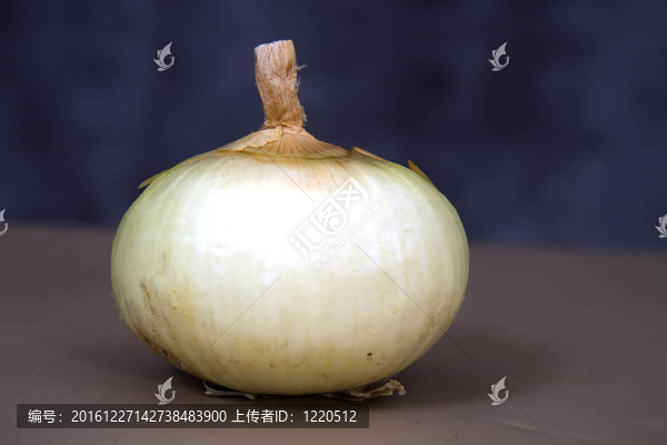 大白洋蔥