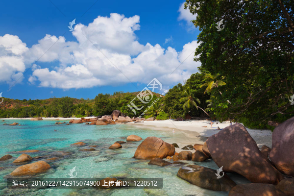 Anse,Lazio在塞舌爾普拉蘭島海灘