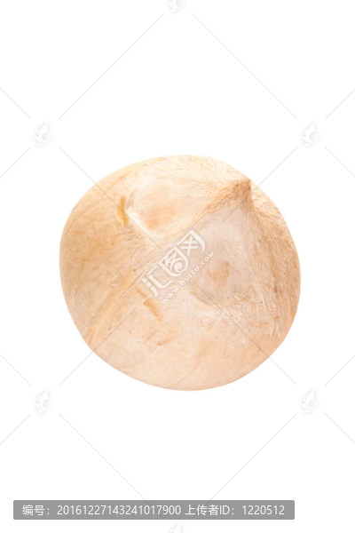 白色的小椰子