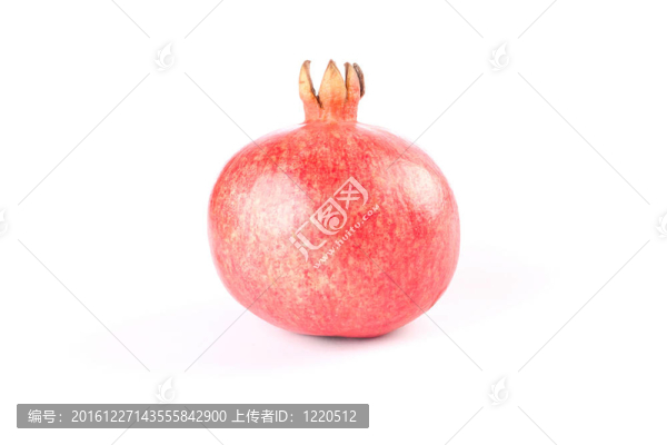 白背景石榴