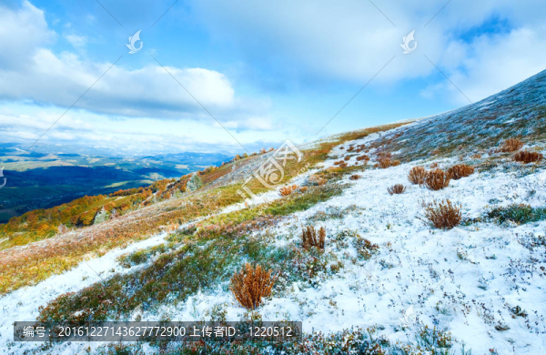 第一個冬天的雪和秋天五顏六色的樹葉在山上
