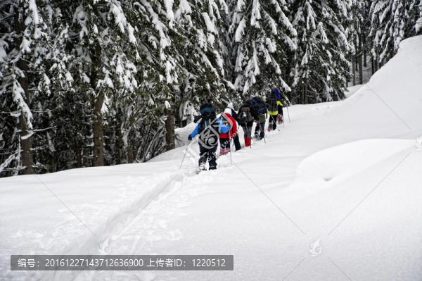 雪鞋徒步旅行者集團(tuán)