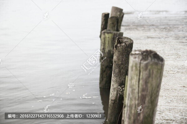 棧橋木樁