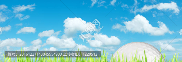 草地上的高爾夫球。全景式構(gòu)圖。