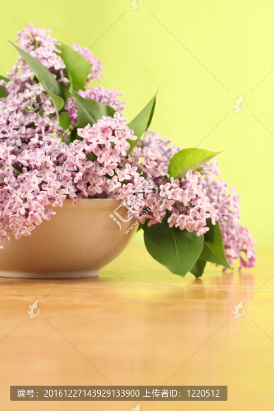 丁香花