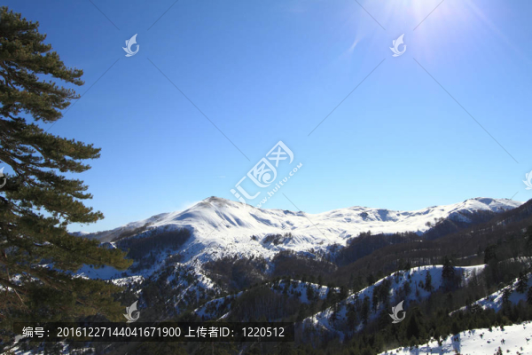 冬季景觀