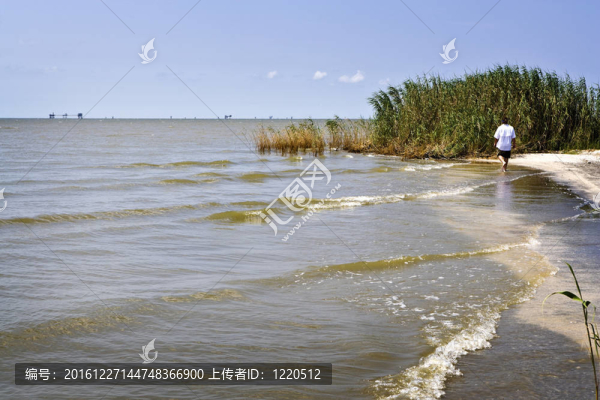漫步海灘；墨西哥灣沿岸