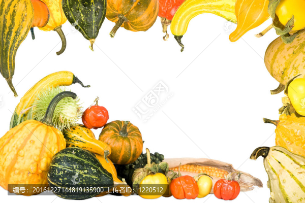 Gourd和壁球架