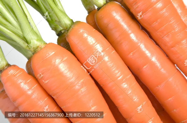 許多胡蘿卜與綠葉