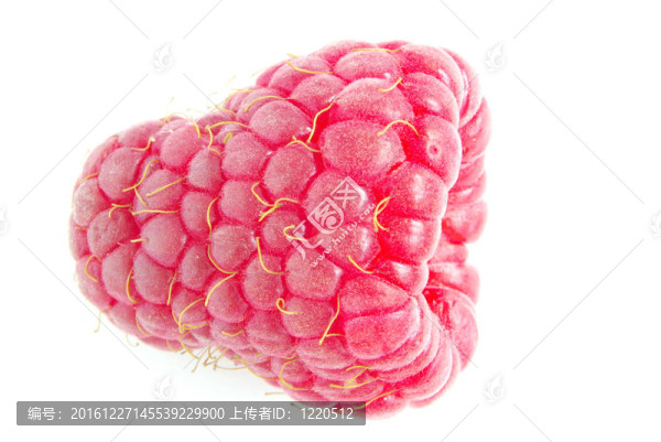 覆盆子