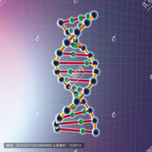 DNA