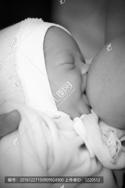 母乳喂養(yǎng)的嬰兒