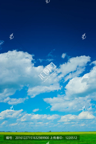 雙色的田野和美麗的天空