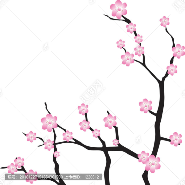 櫻花枝。