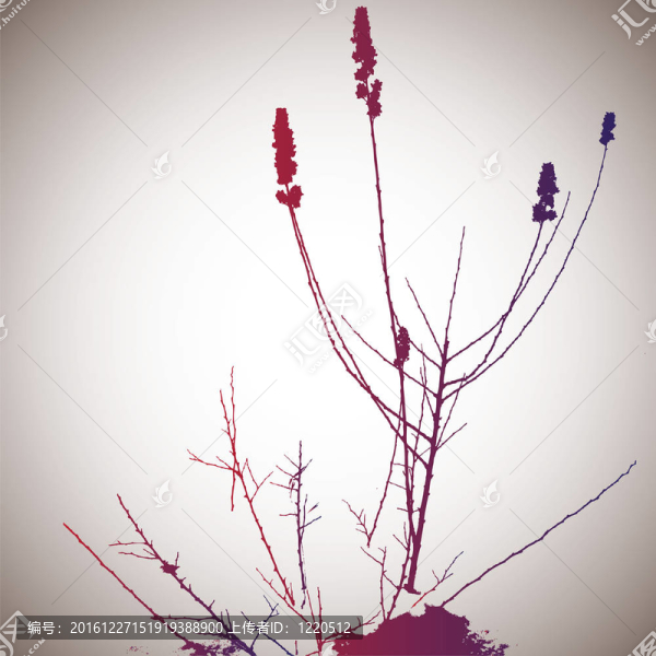 花的輪廓。插畫