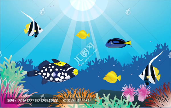 海洋生物