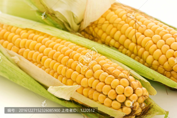 玉米芯
