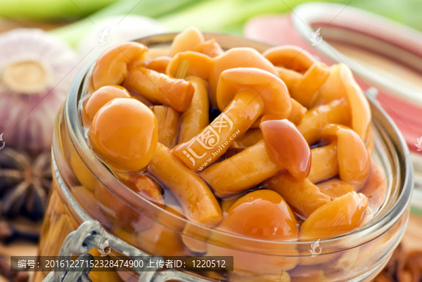 蜜環(huán)菌