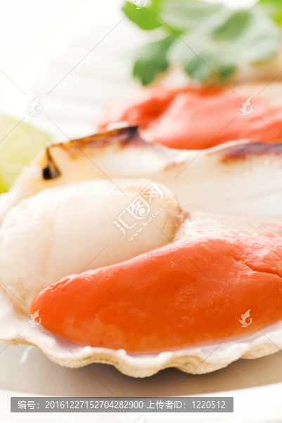 扇貝