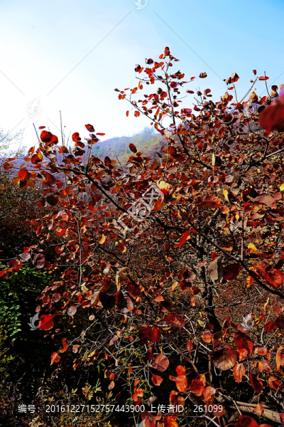 鞏義長壽山,高清無噪
