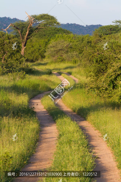 非洲公路風(fēng)景