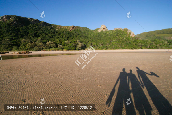 沙中陰影