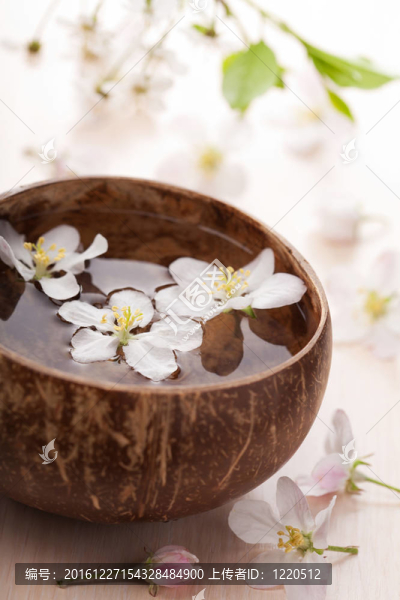 碗中白花