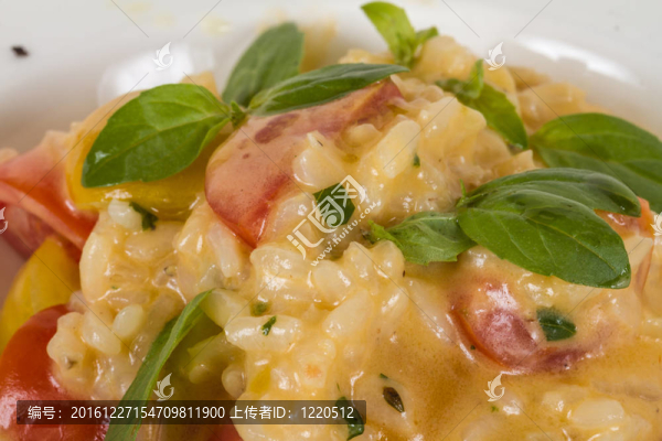 美味的飯菜用香草、白底番茄的照片