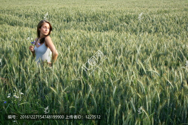 夏季